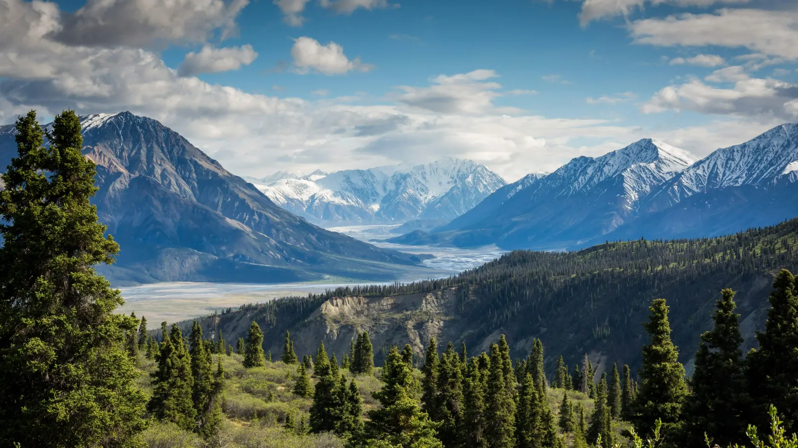 a landscape with trees and mountains in the back