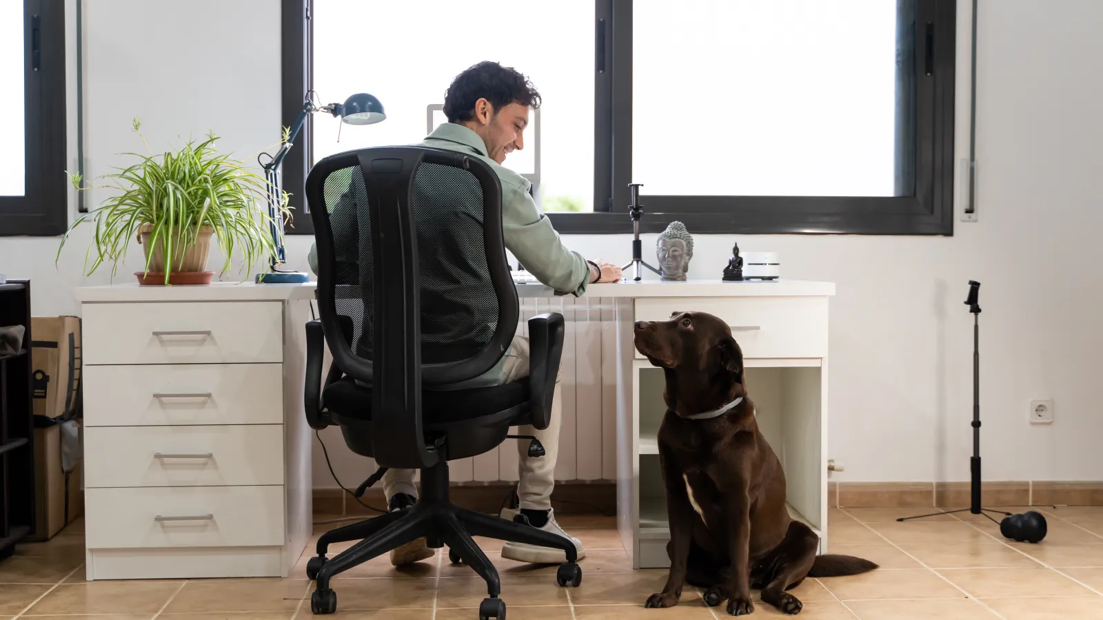 a person sitting at a desk with a dog