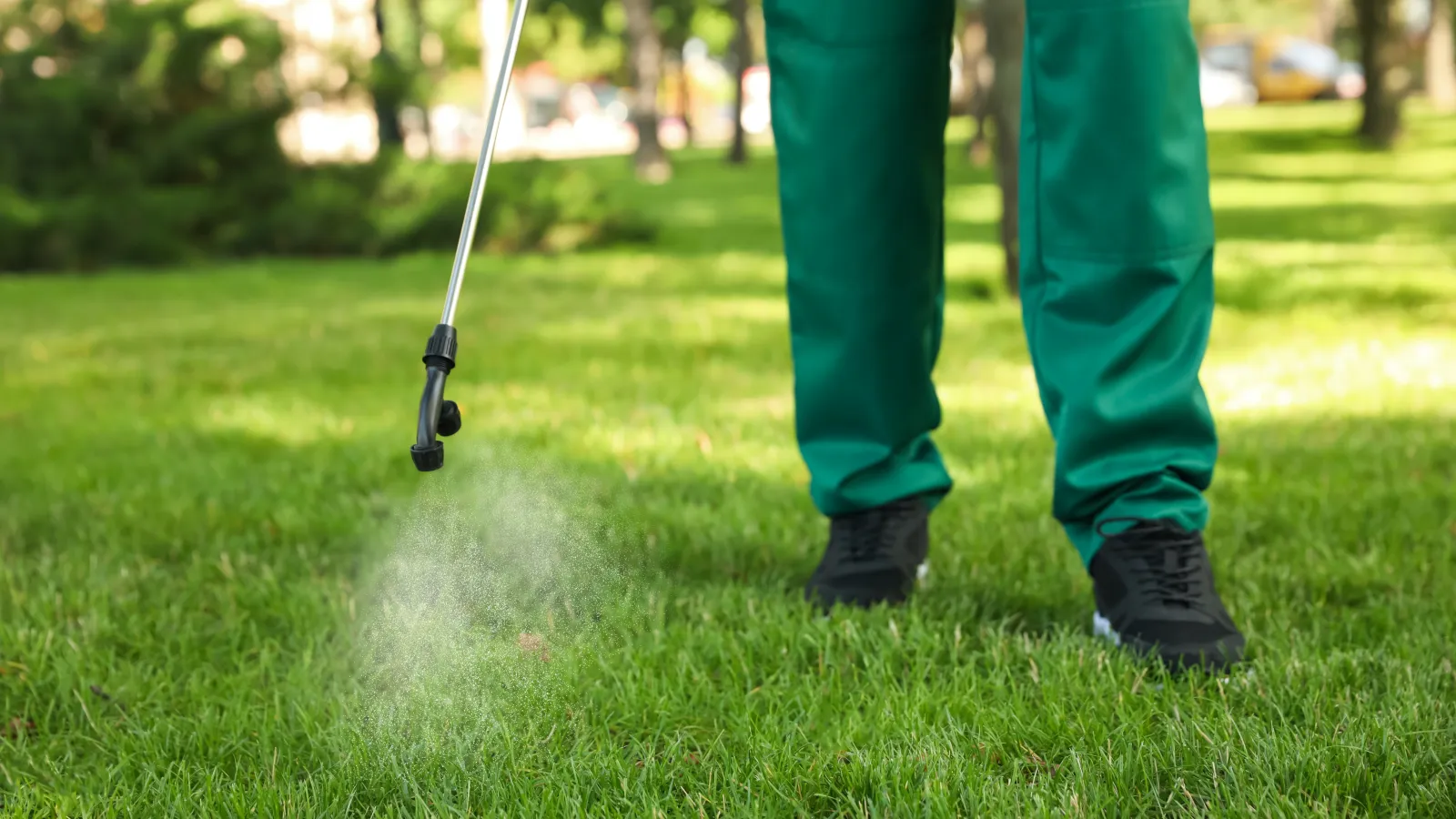 a person spraying a grassy area