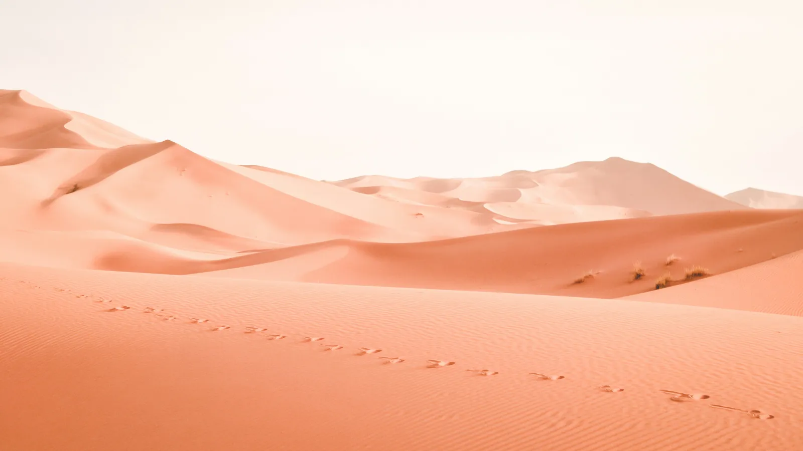 Vast desert landscape with rolling sand dunes and a trail of footprints under bright sunlight.