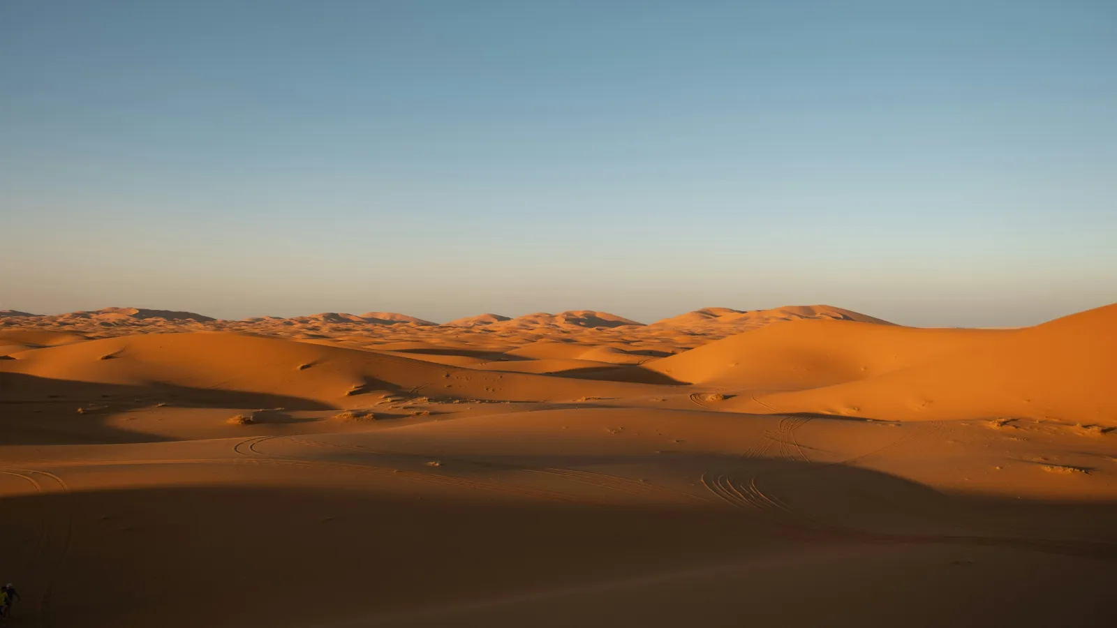 Golden sand dunes under a clear blue sky during sunset in a vast desert landscape.