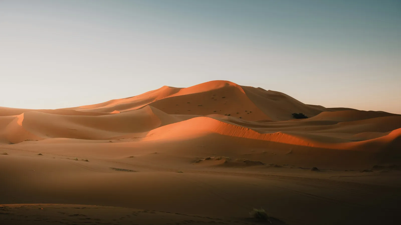 Golden sand dunes under a soft blue sky at sunset in a vast desert landscape