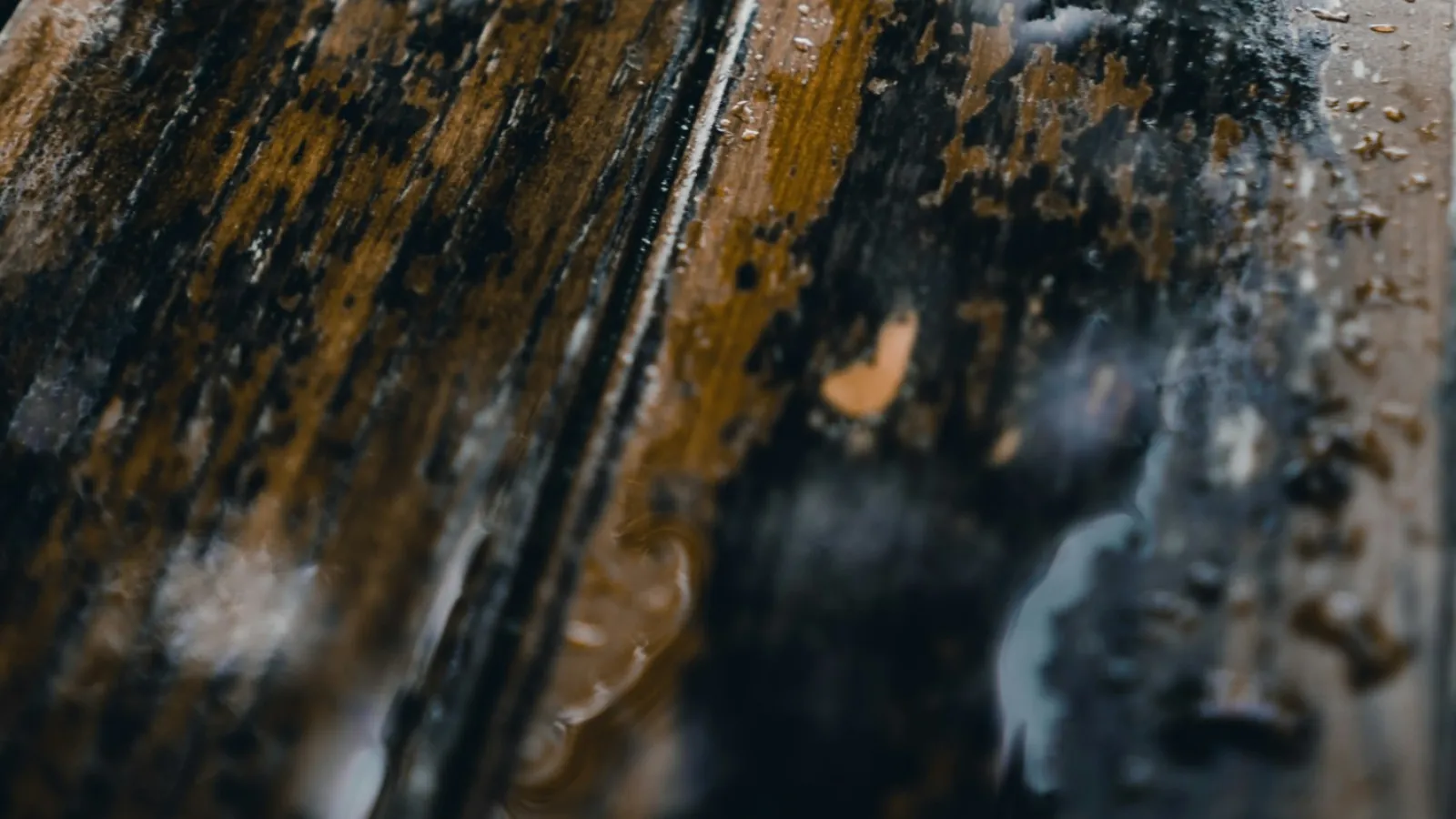 Close-up of wet wooden planks with water droplets and reflections on the surface during rainy weather.