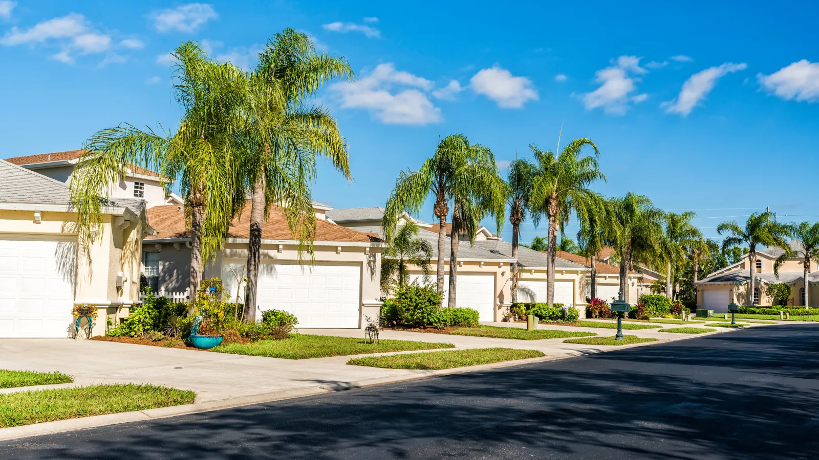 Sunny suburban street with palm trees and houses featuring garages LunspPro Inspections