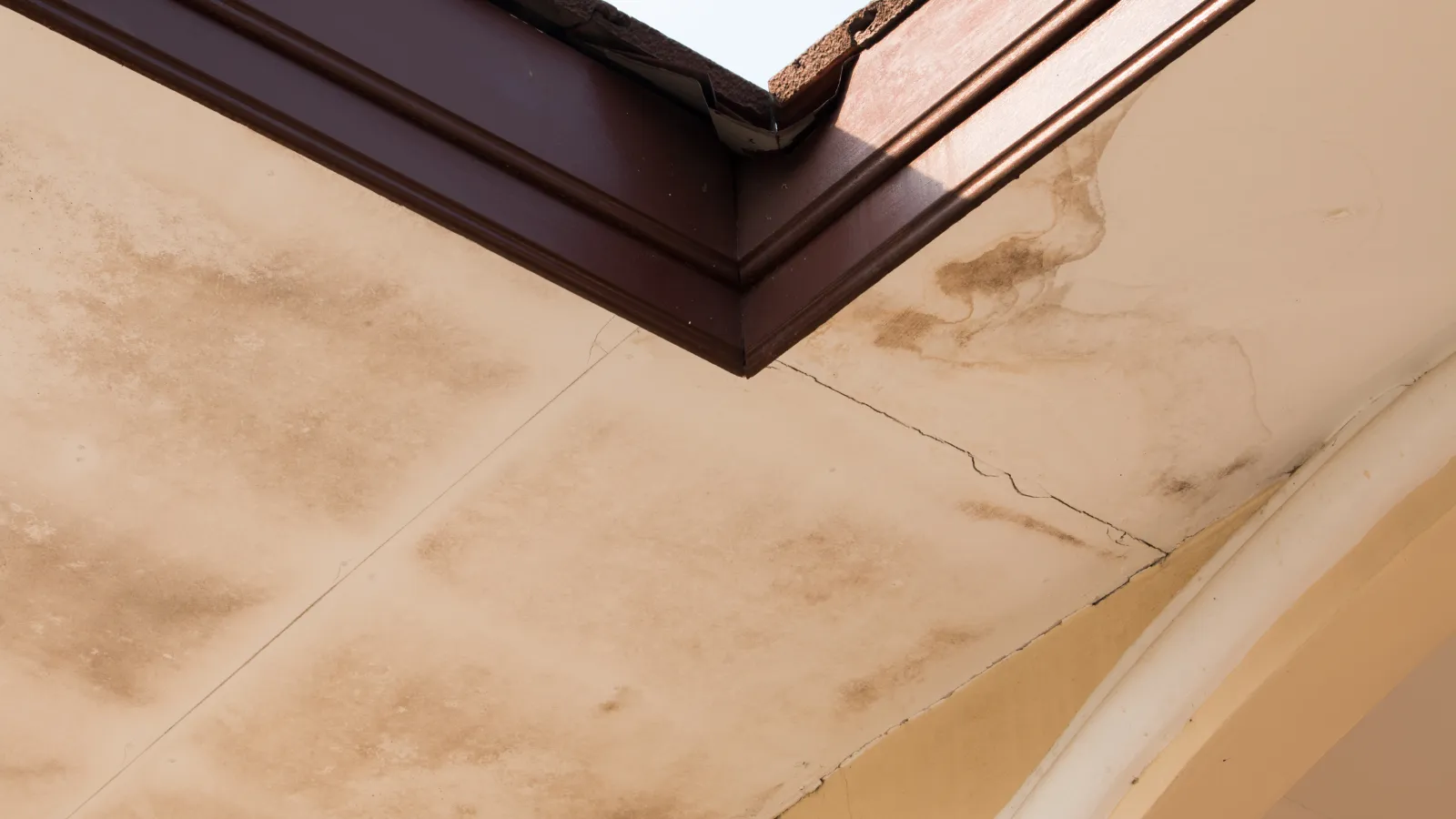 moisture damaged ceiling  seen during Drone Inspections, Home Inspection in Atlanta Georgia, Home Inspector Atlanta