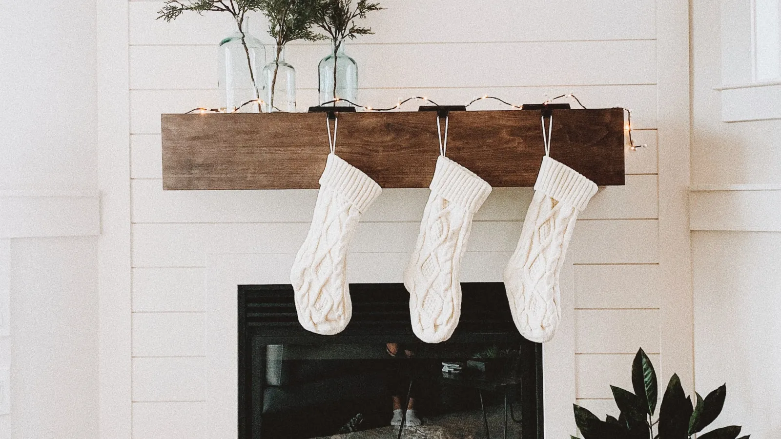 a fireplace with a plant in it