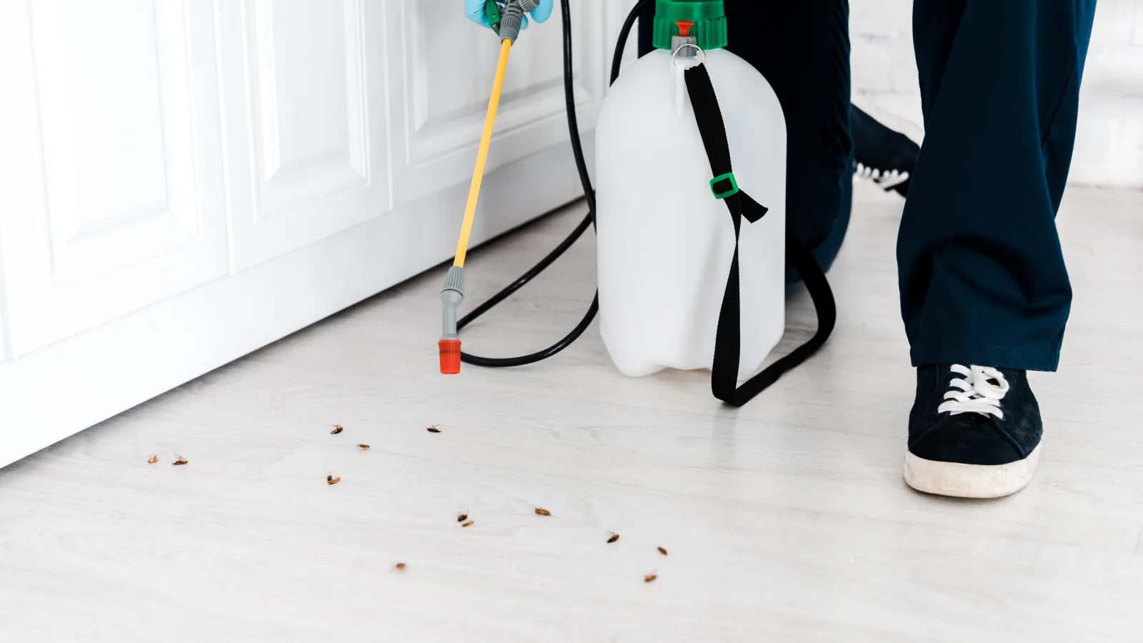 a person getting rid of pests in storage unit