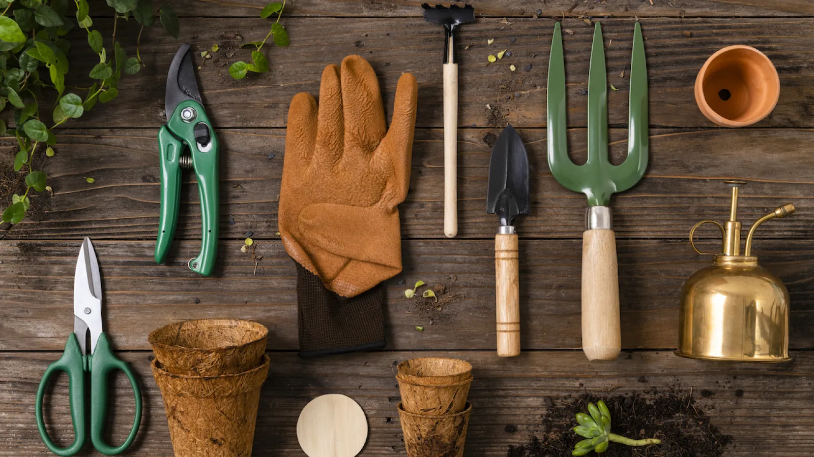 a table with organized gardening tools and objects on it