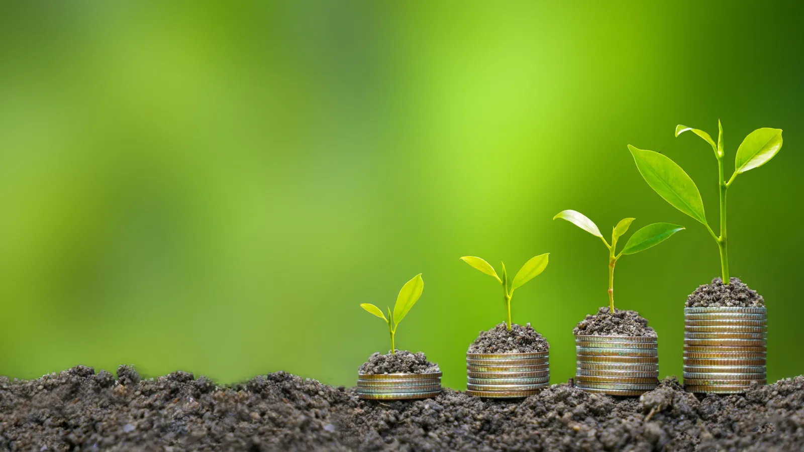 Plants growing from stacks of coins in soil symbolizing financial growth and investment success.