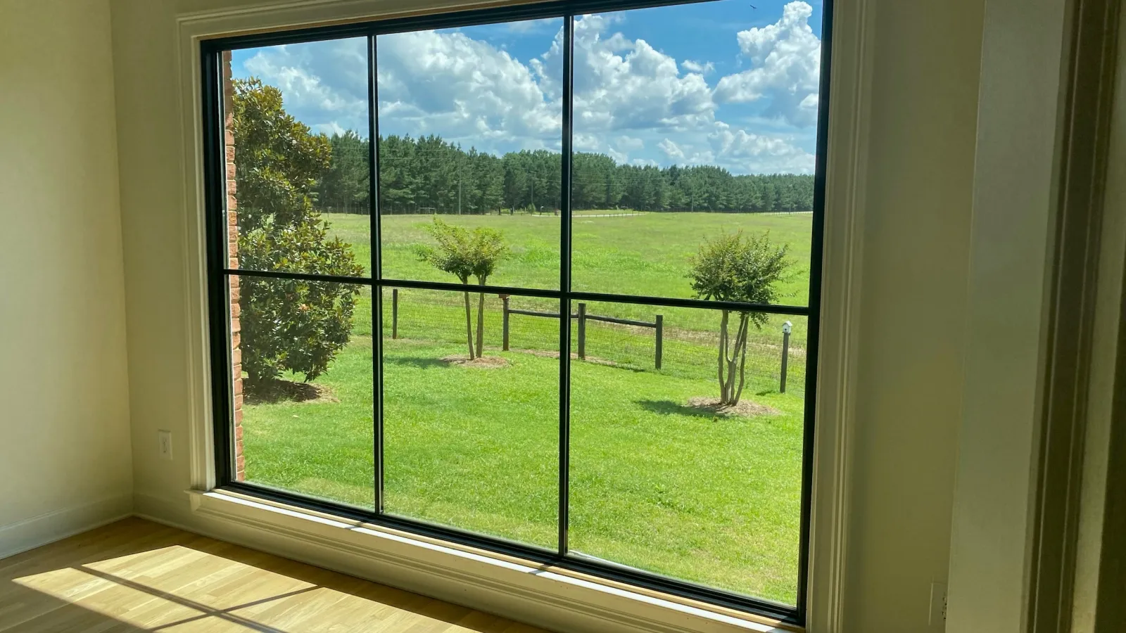 Large window with black frames showing a sunny green lawn, small trees, and a forest under a blue sky with clouds.