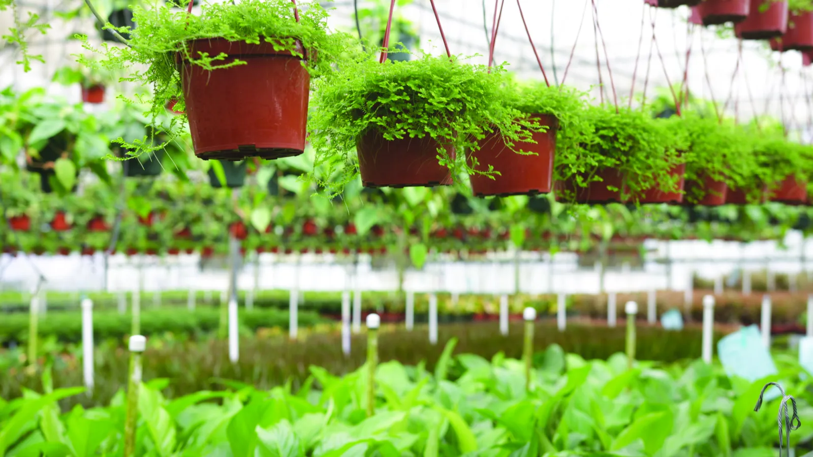 a close up of a sign