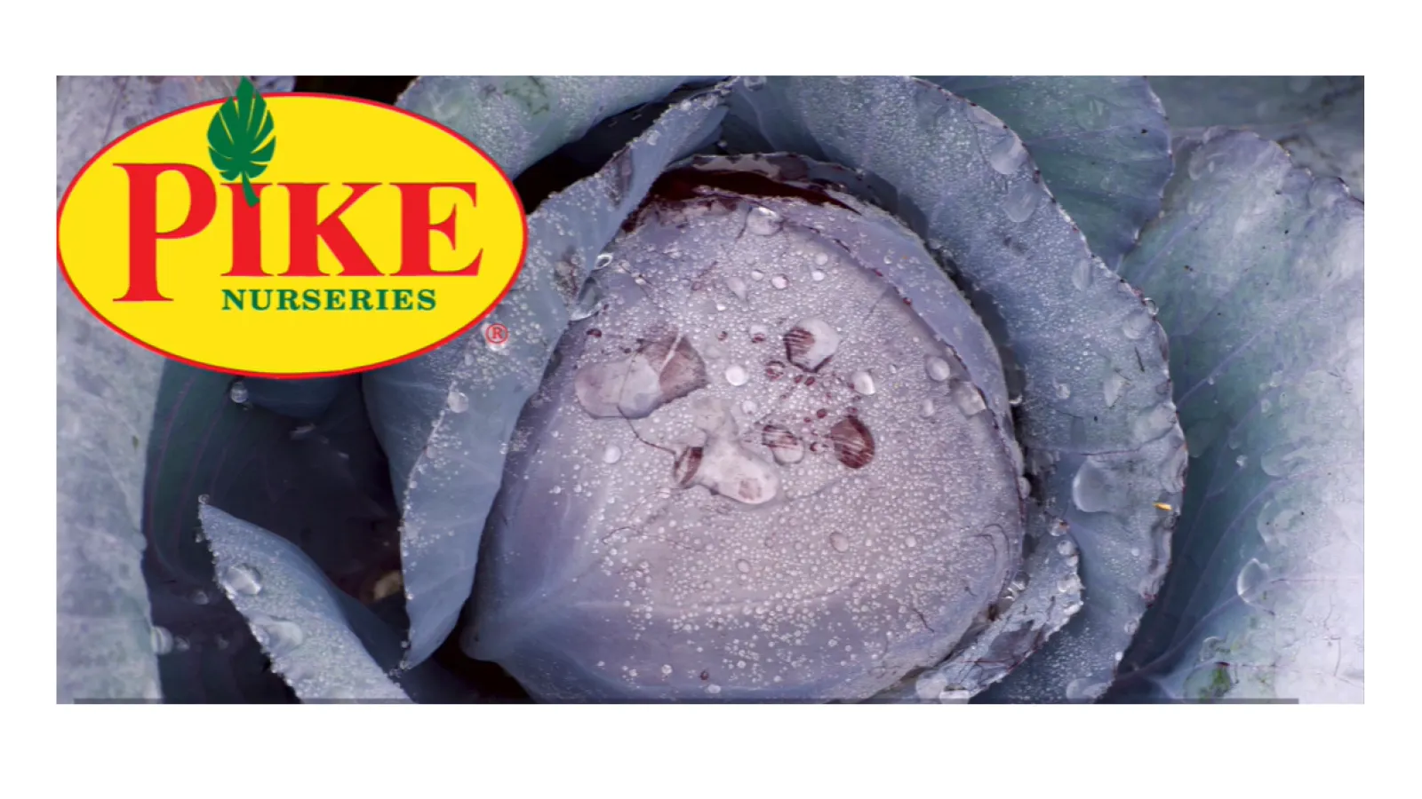 a piece of cake sitting on top of a sign