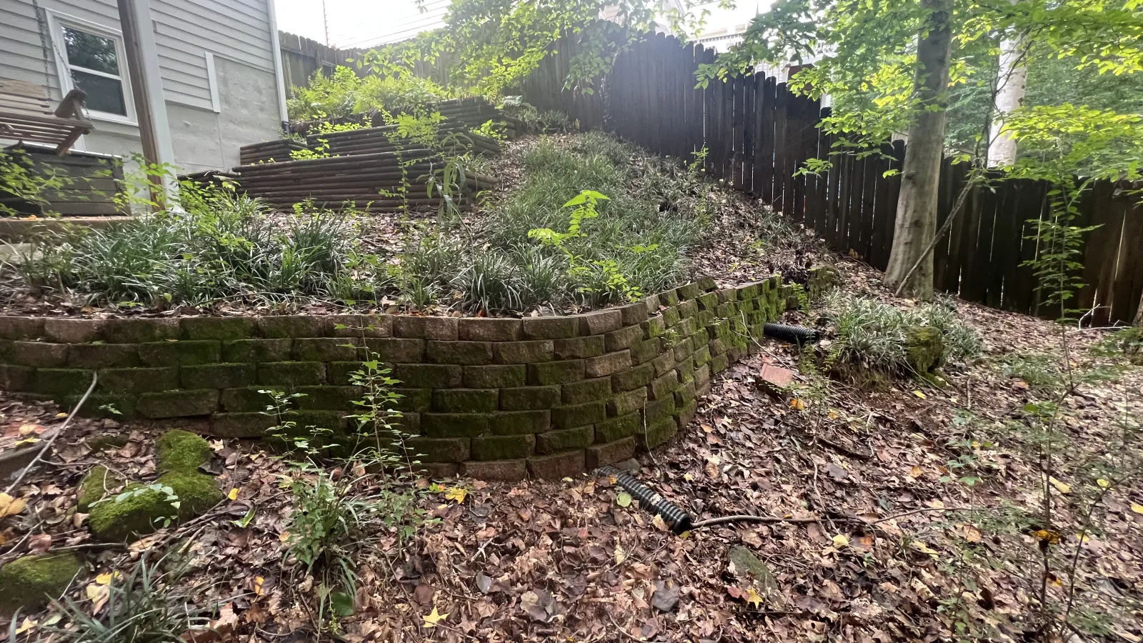 a backyard with a fence and a house