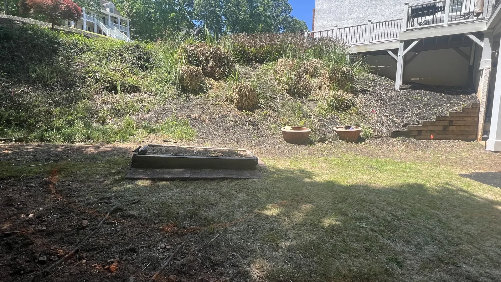 a yard with a bench and plants