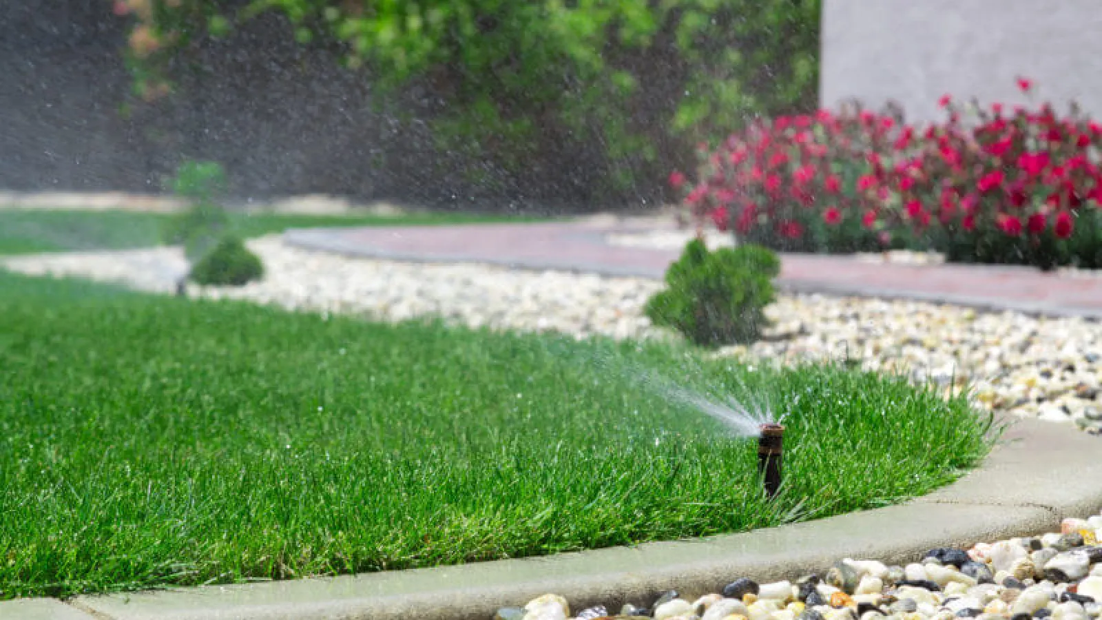 Watering Lawn