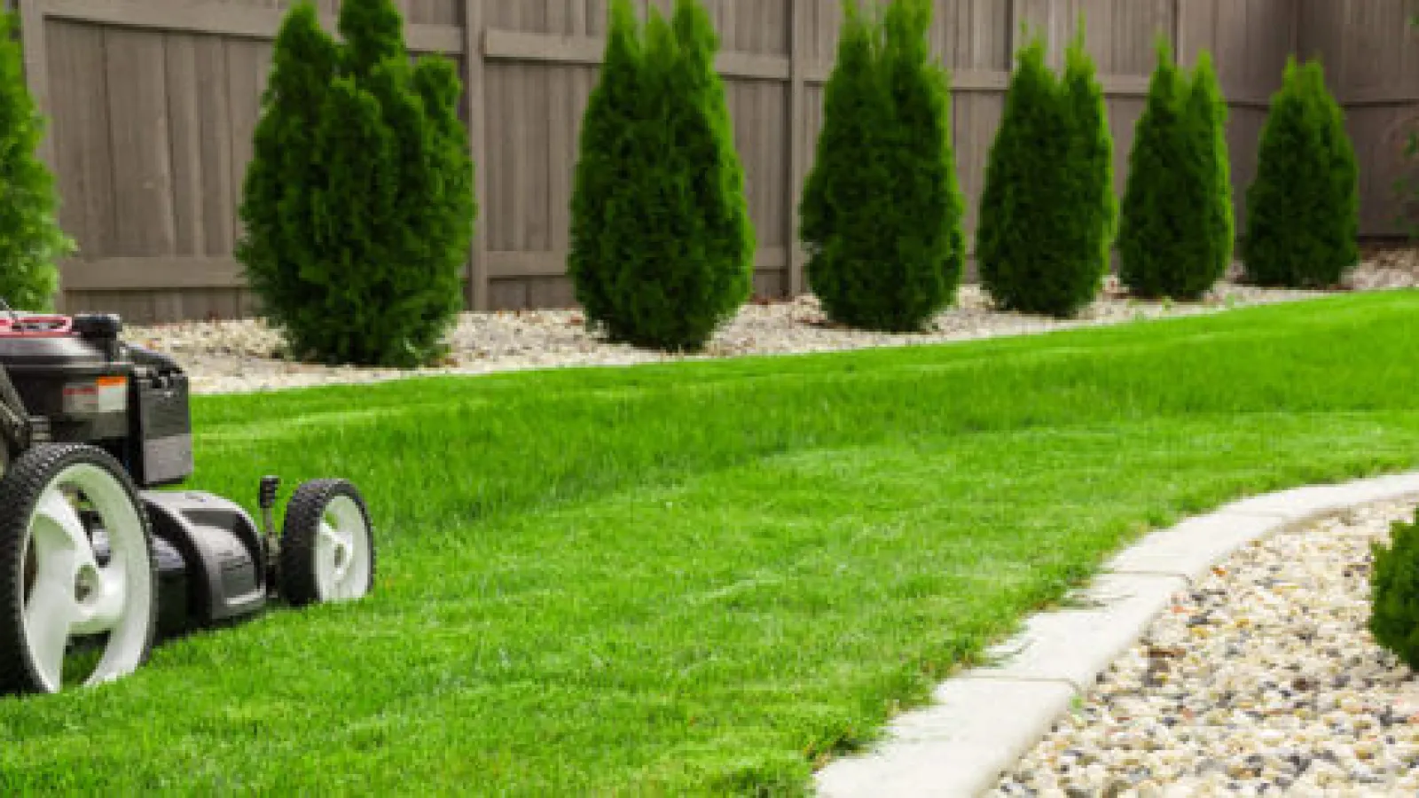 Mowing in the Spring