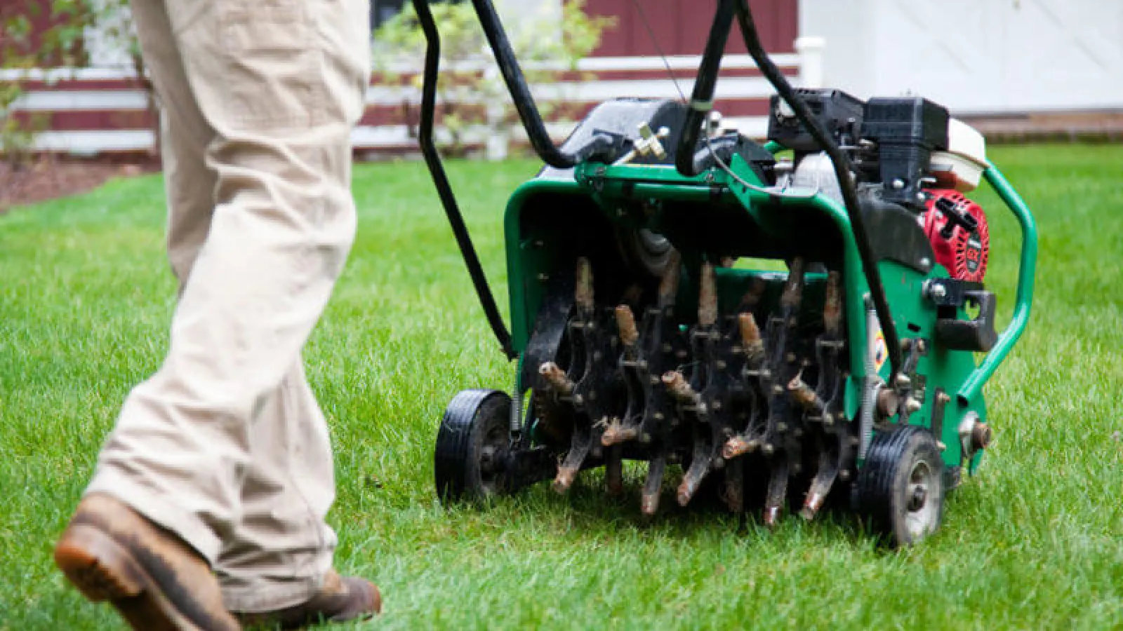 Aerating Lawn