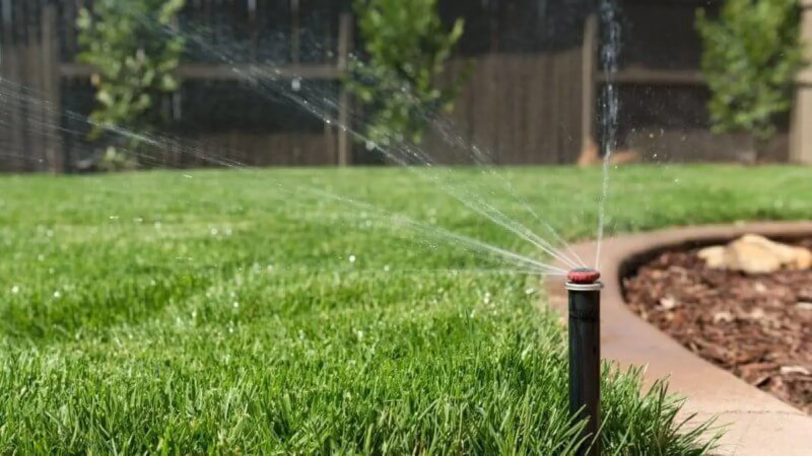 Watering grass