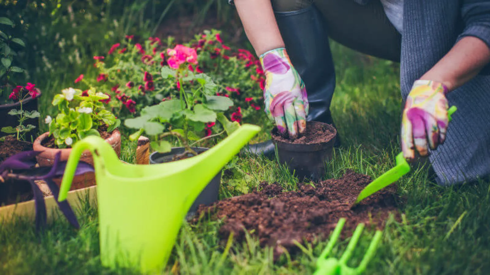 planting a Garden