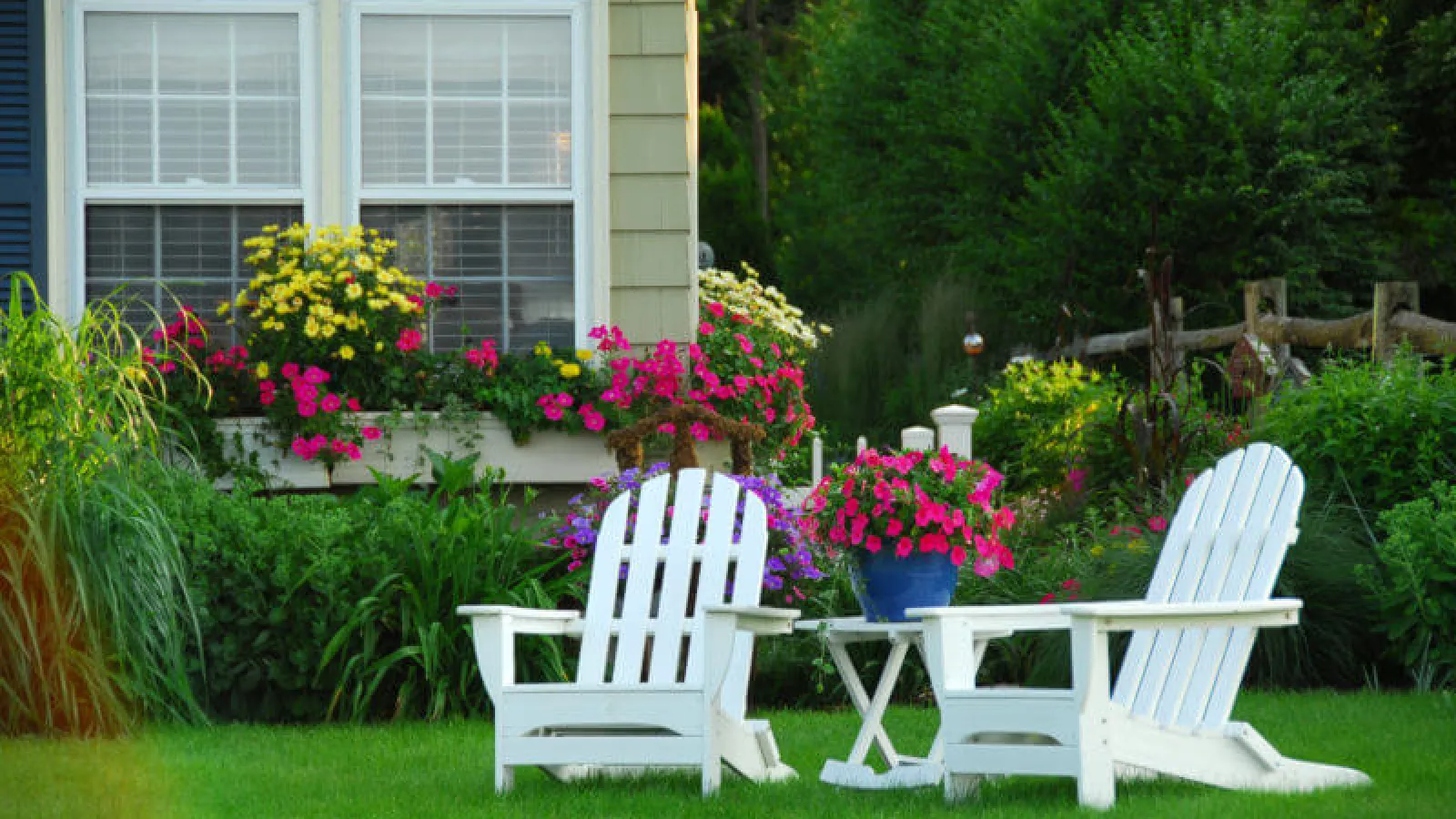 The Summertime Backyard of Your Dreams