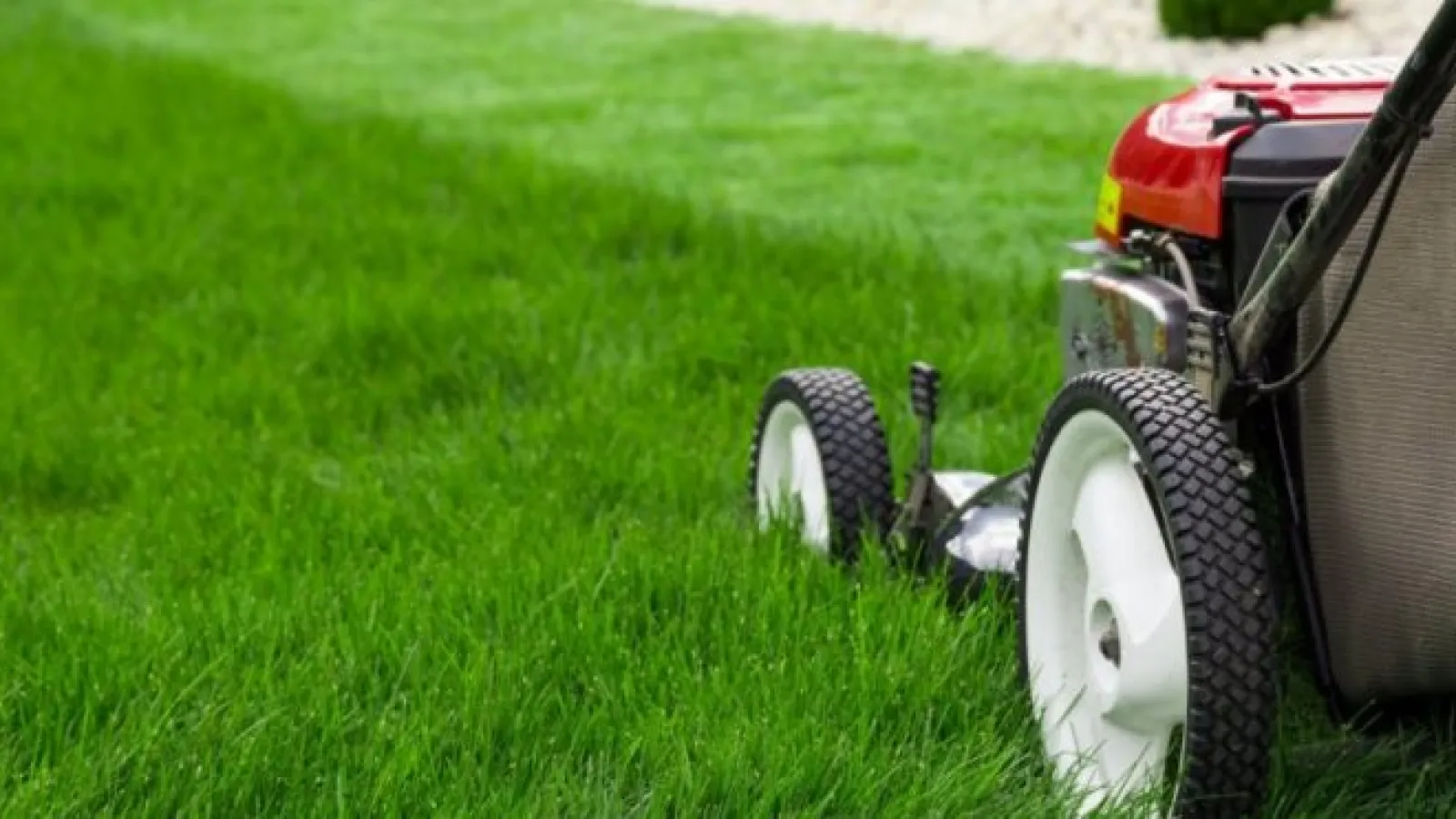 Want To Mow Less?