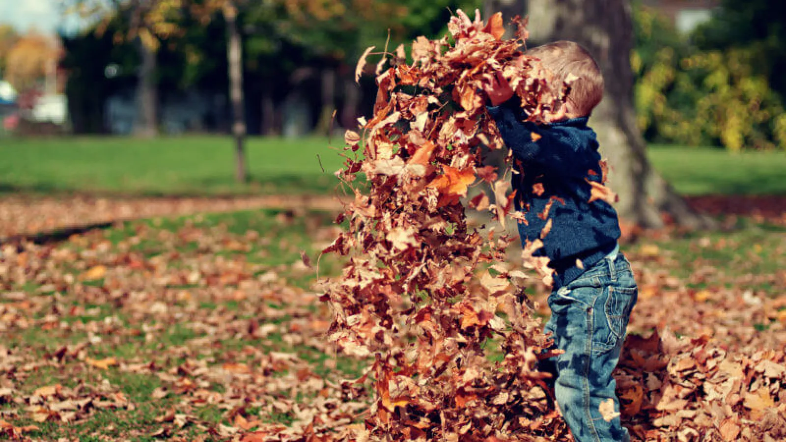 boy playing with leaves in Your Yard