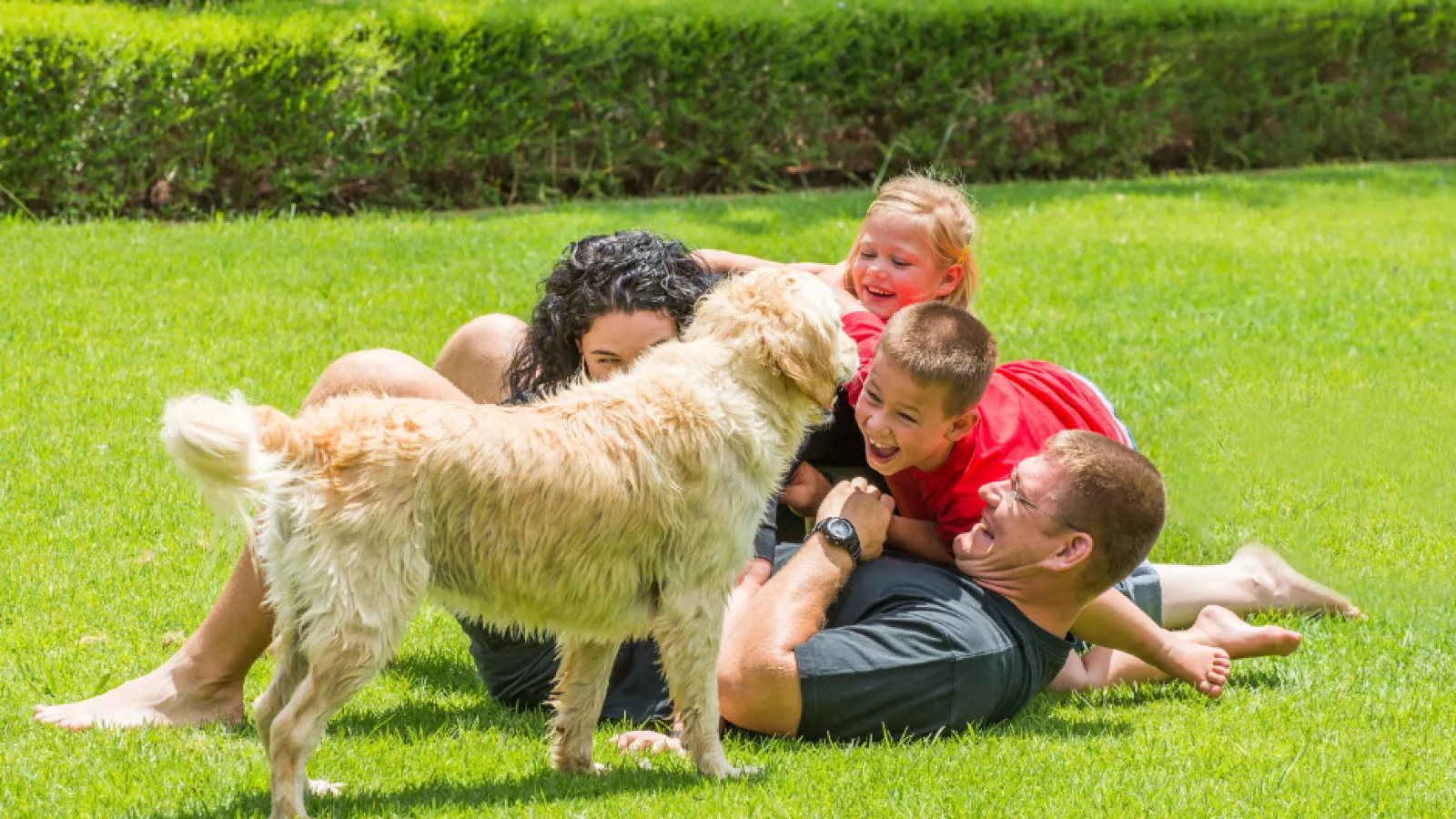 family playing grass with dog