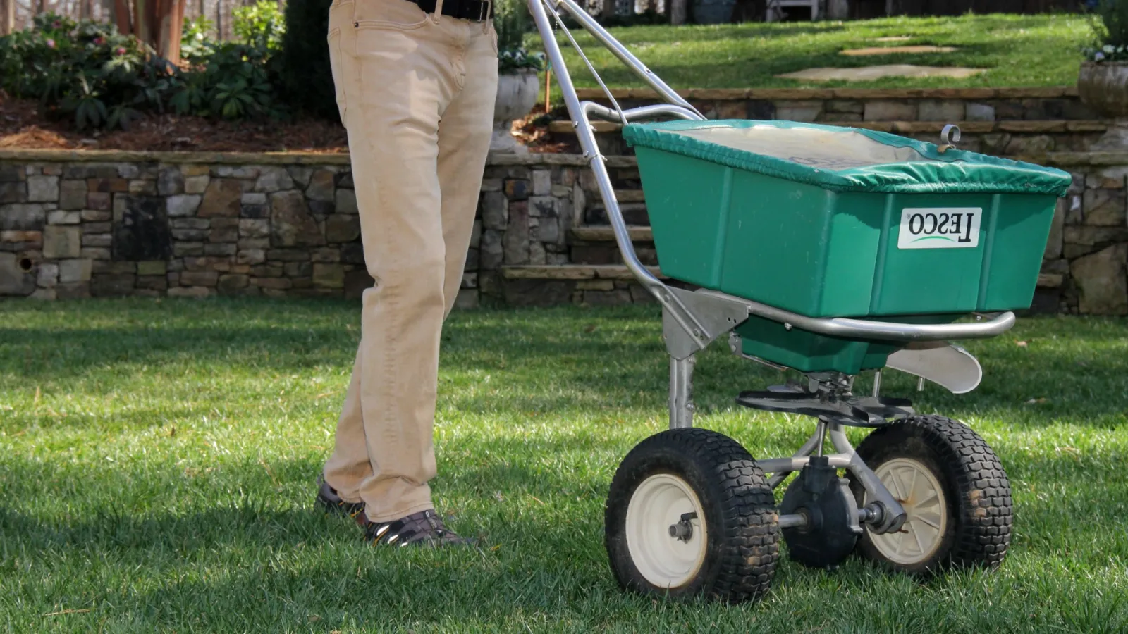 Fescue Lawns Love Aeration & Seeding