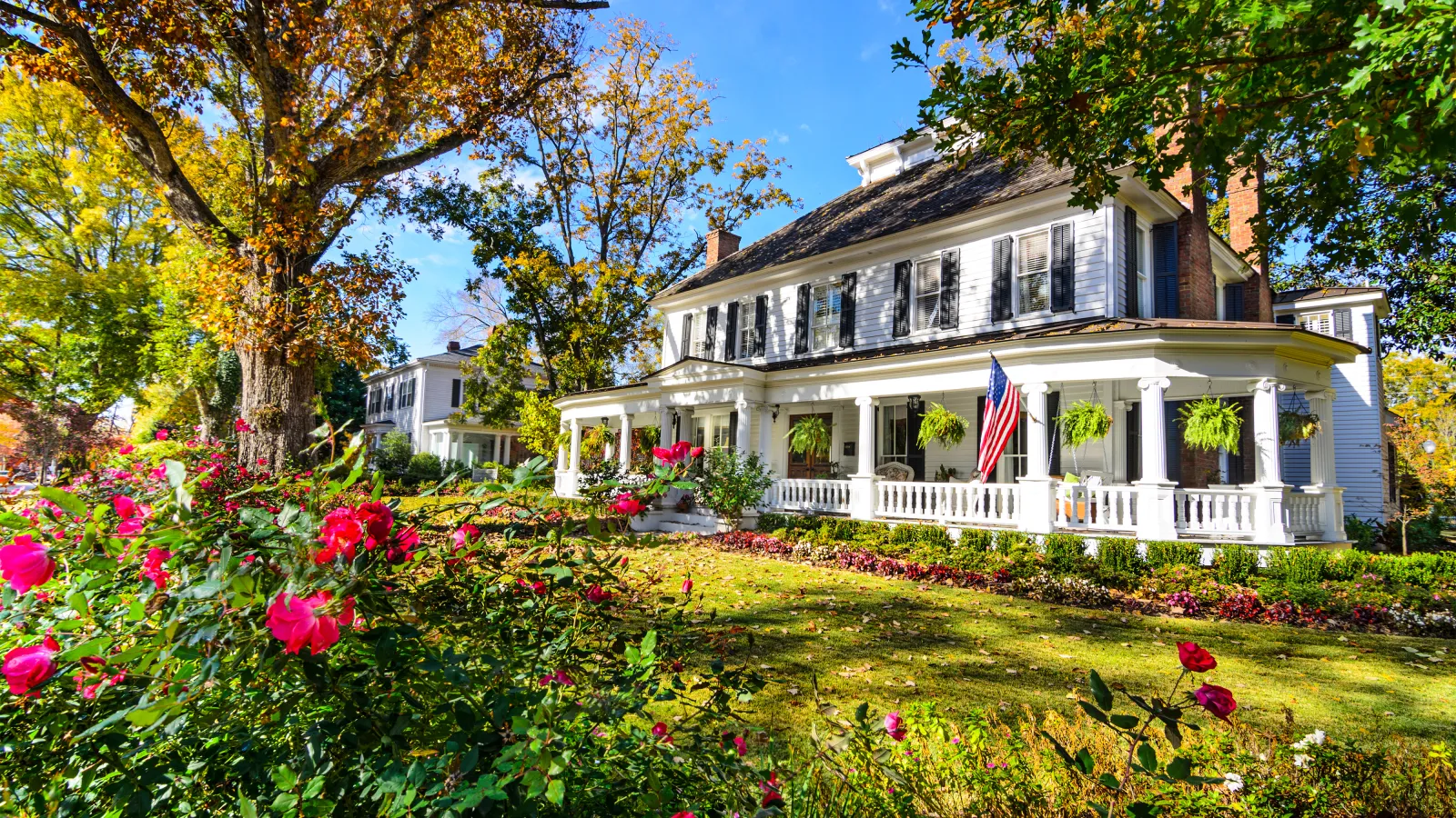 Healthy lawn and trees and shrubs with house in background