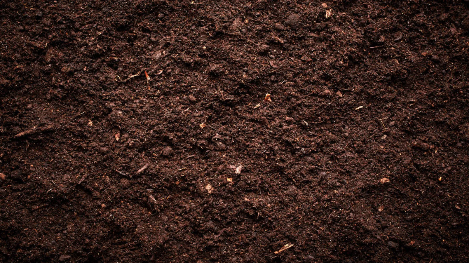 a close up of a dirt surface