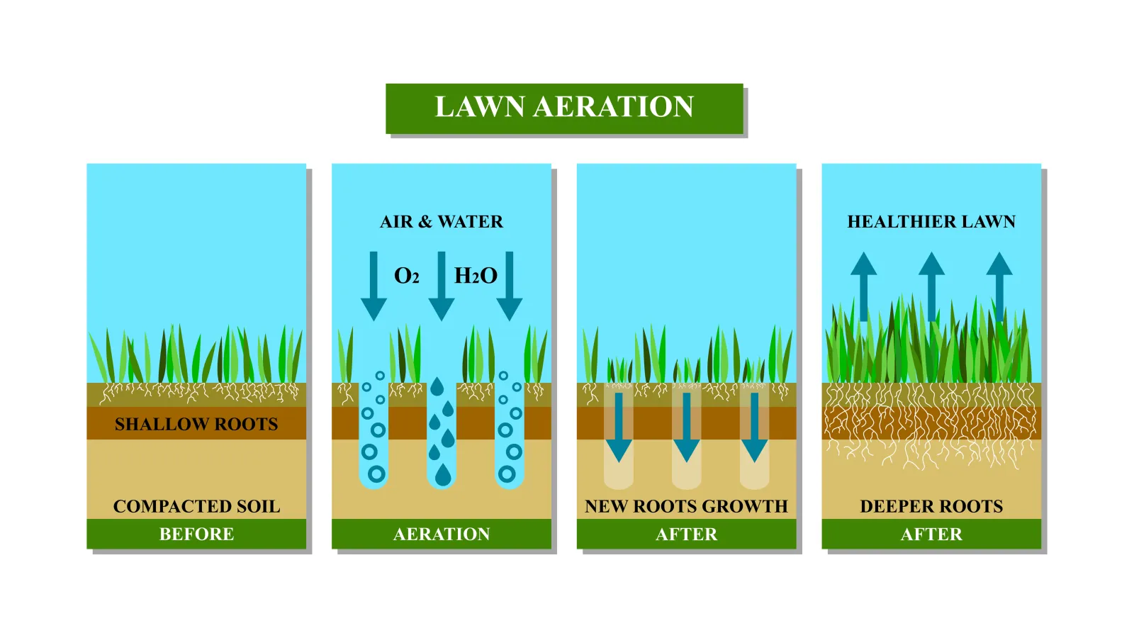 Aeration & Seeding Post-Service Instructions | Turf Masters Lawn Care