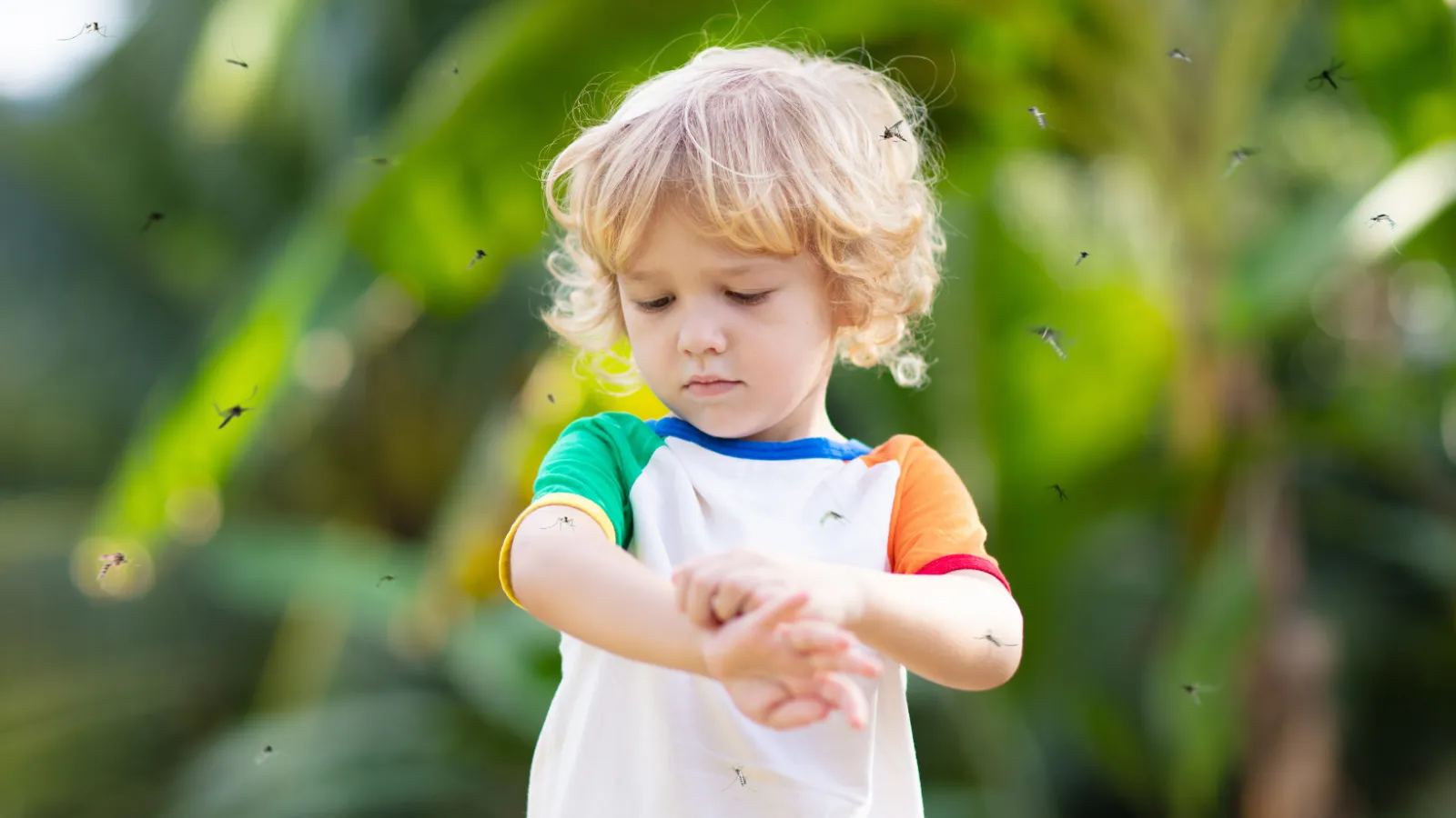 a child with blonde hair