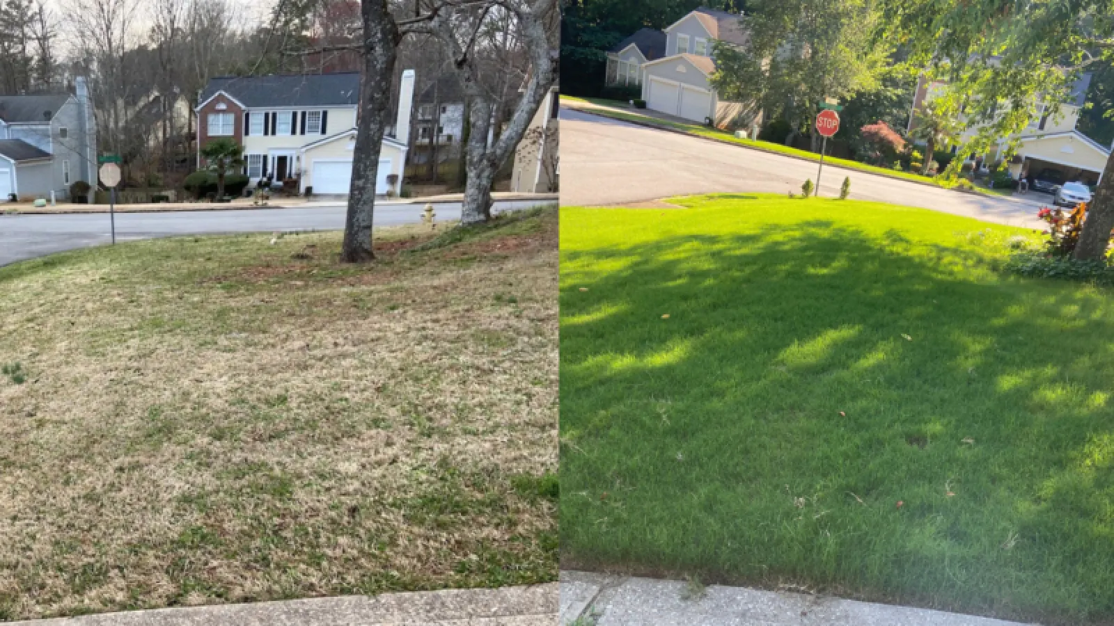 Fall Pre-emergents 1 full year of lawn care