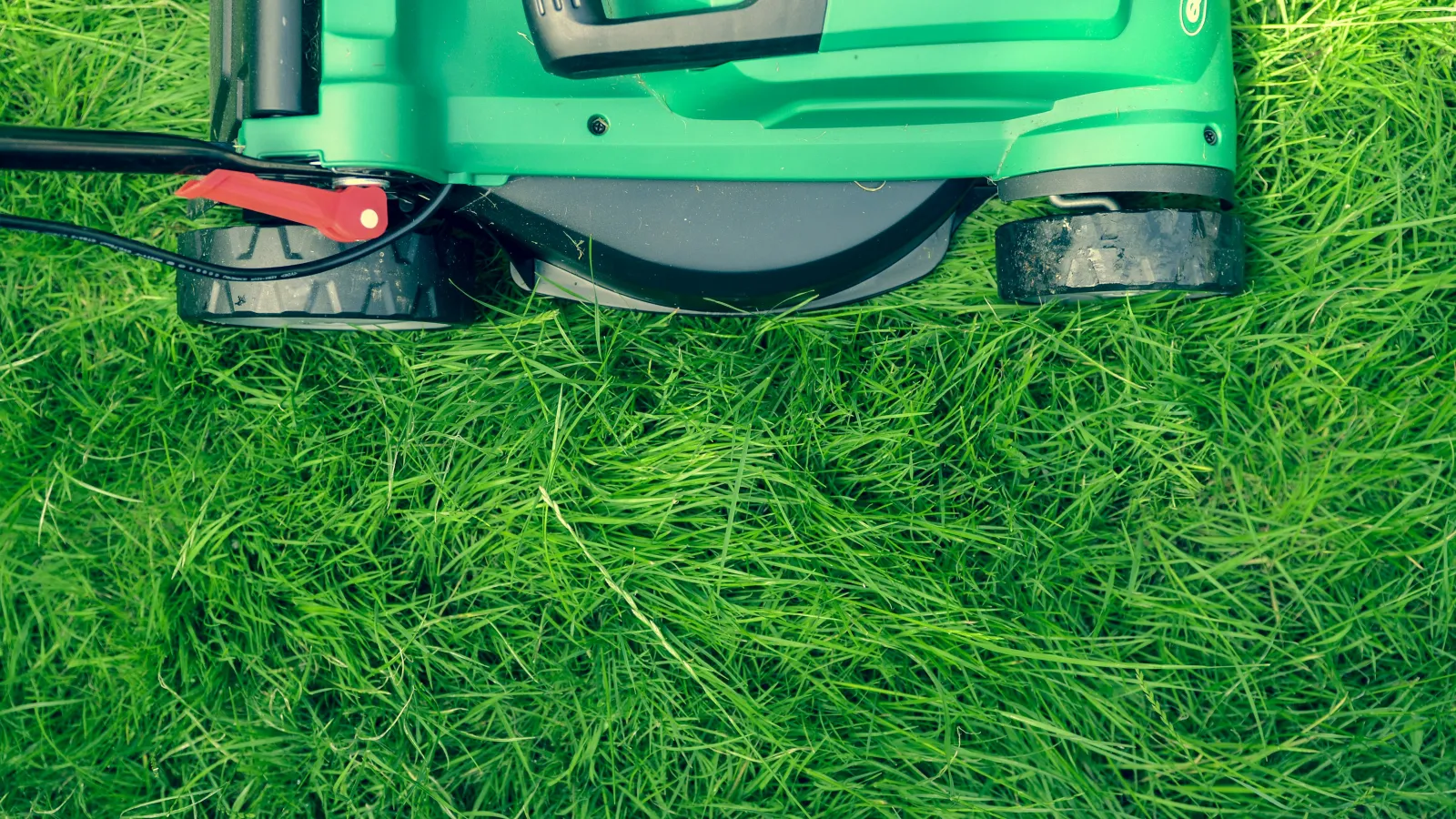 a green lawnmower on grass