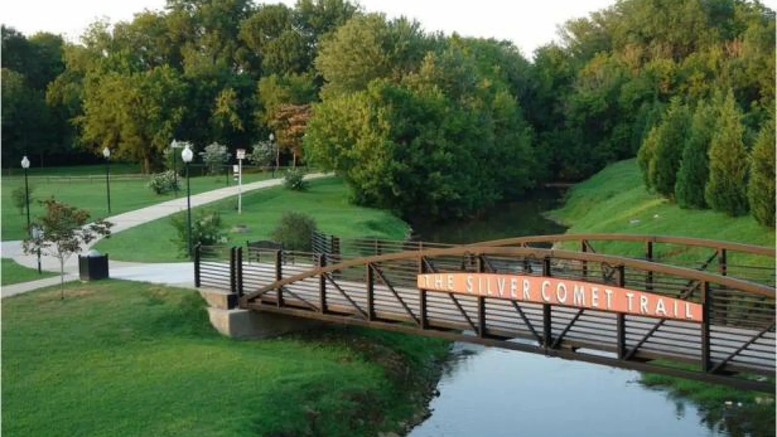 bridge with grass