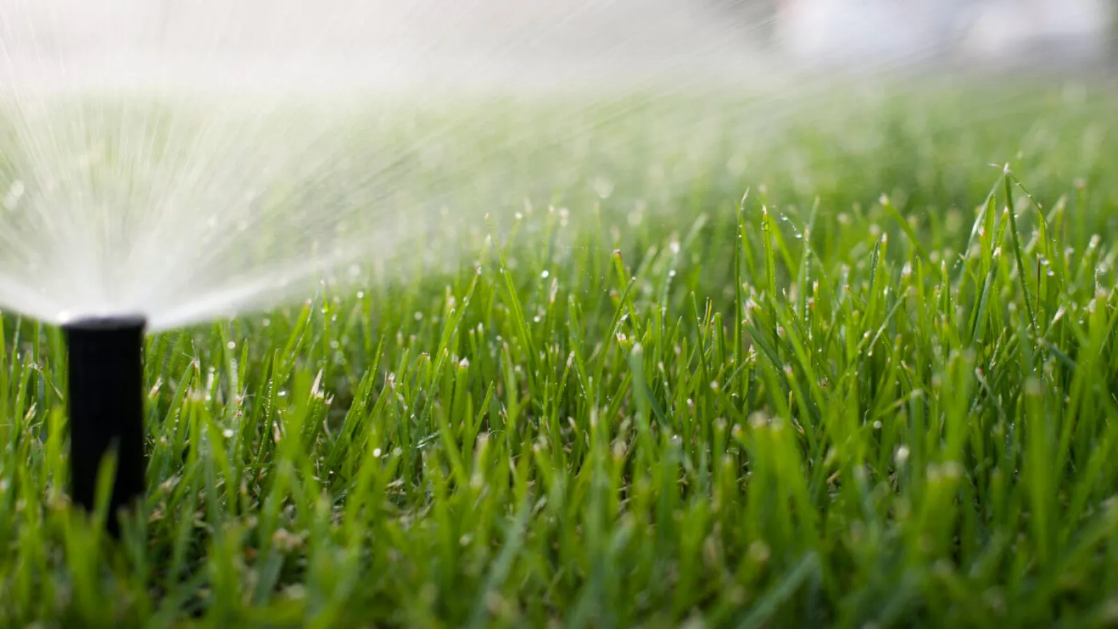 a sprinkler spraying water on grass