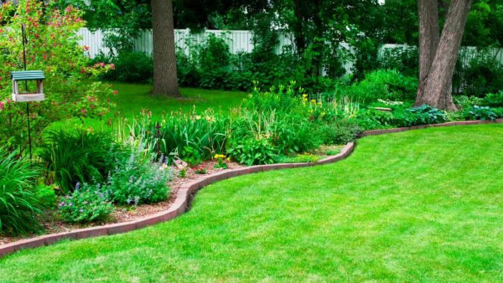 a garden in lawn with brick border