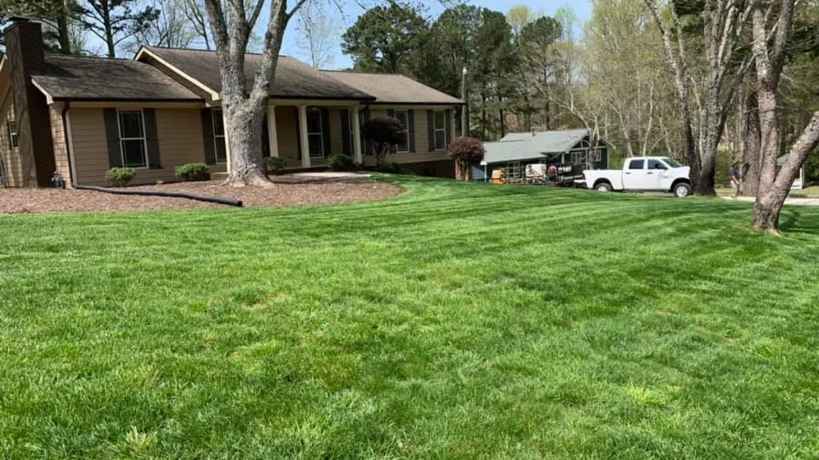 house with pretty grass