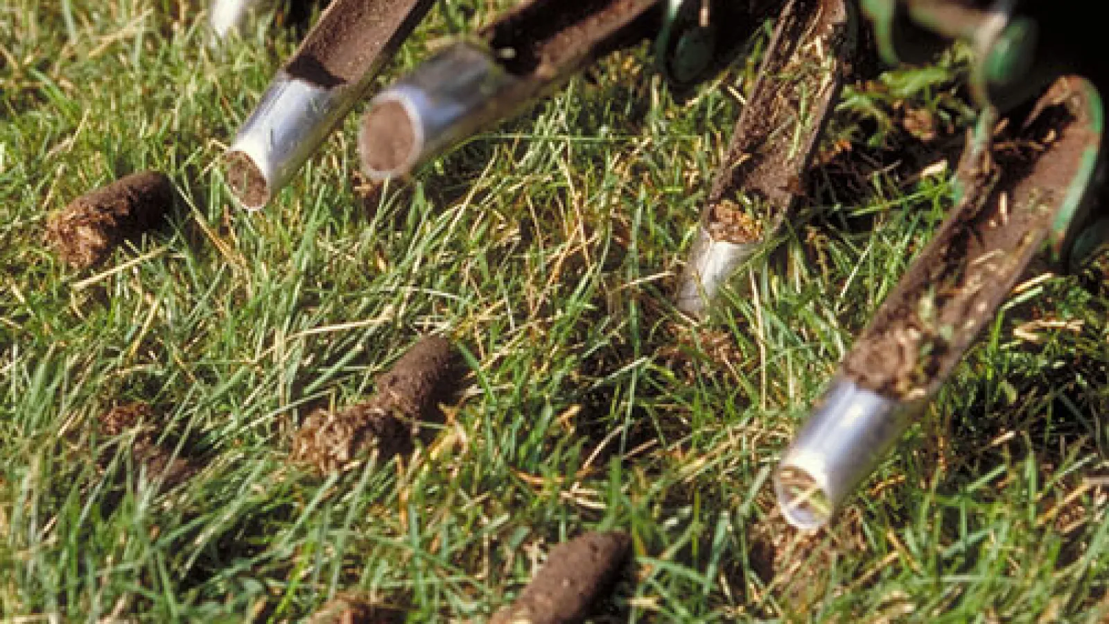 image of lawn aeration plugs