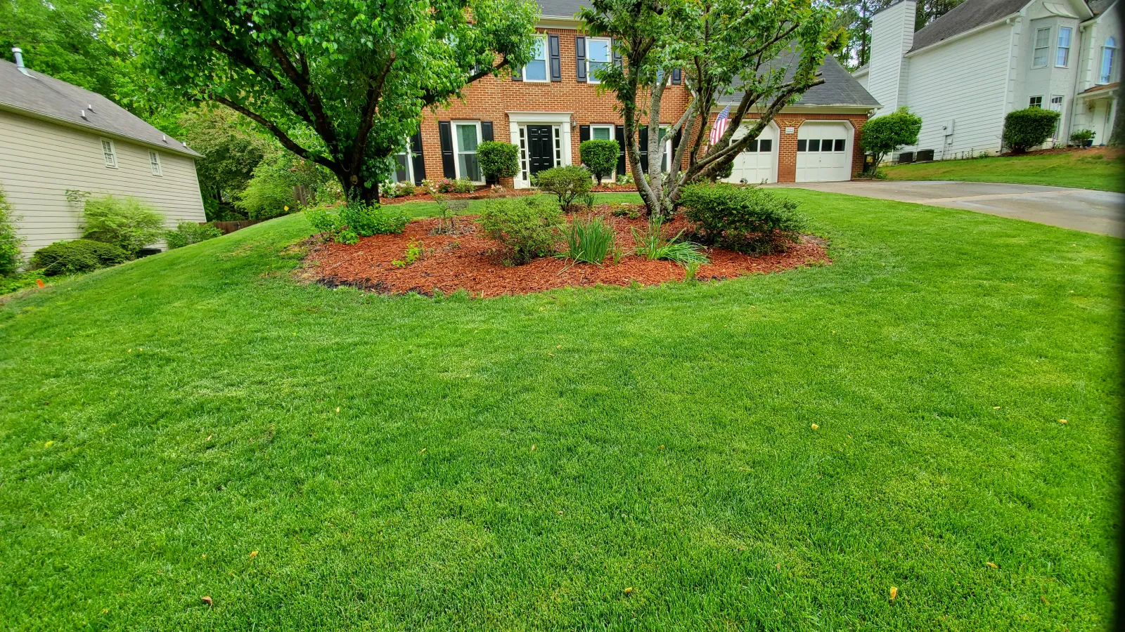 house with green grass