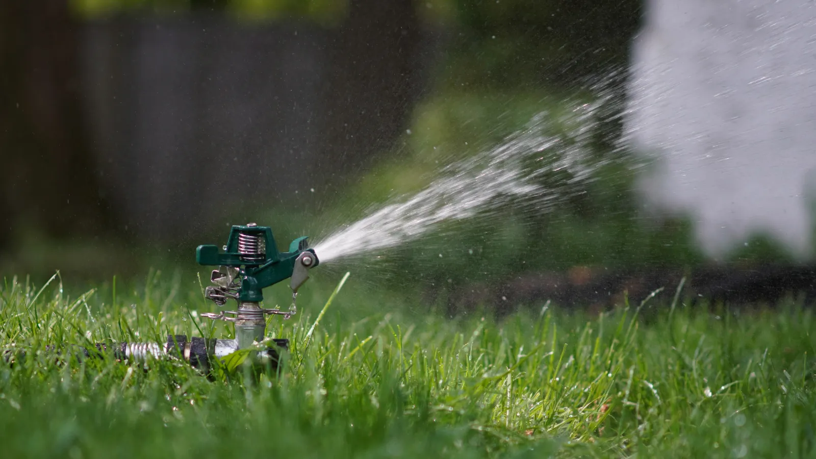 a lawn sprinkler head watering grass