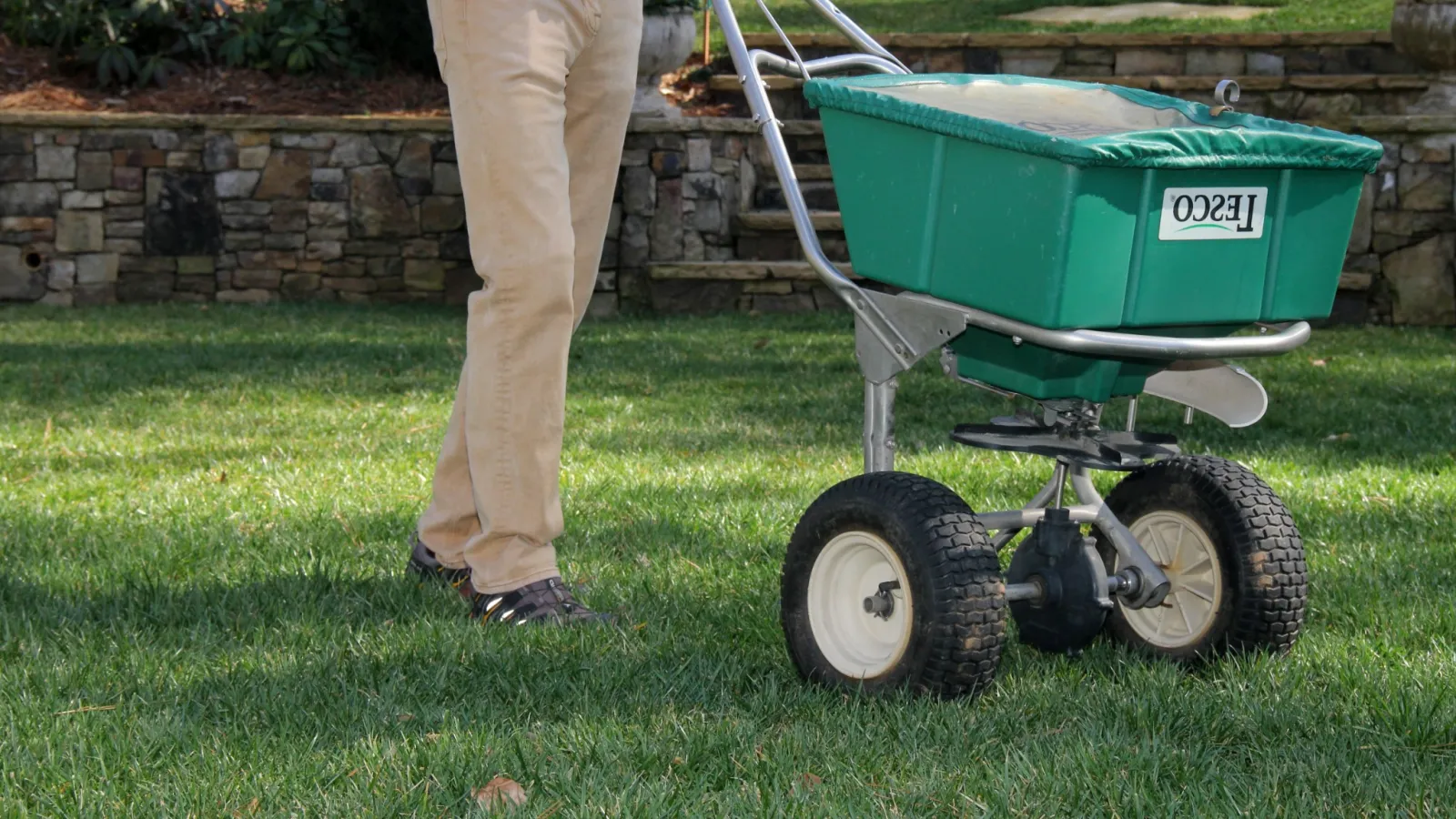 Lawn Care After Aeration & Seeding