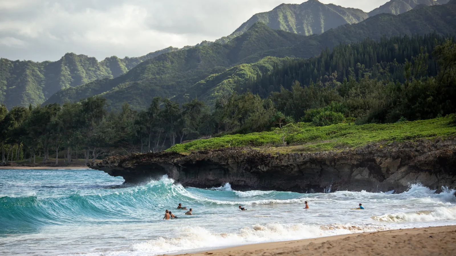 a group of people swimming in a body of water