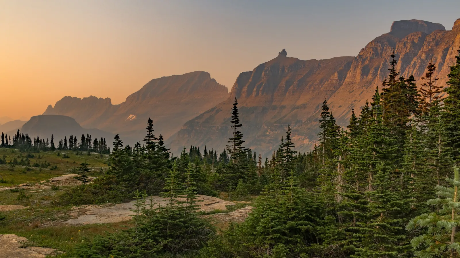 a landscape with trees and mountains in the background