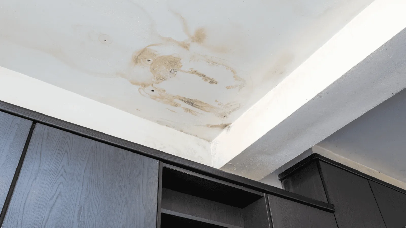 Ceiling with large brown water stains and mold above dark wood cabinetry in interior room corner.