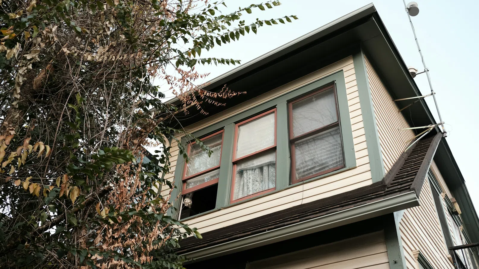 Beige two-story house with green trim partially obscured by a large tree with mixed green and dried leaves.