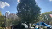 a tree in front of a house