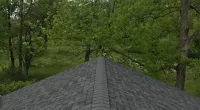 the homeowner's roof
