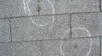 damaged shingles
