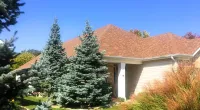 a house with a yard and trees